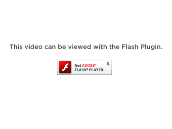 Flash Player is Required.